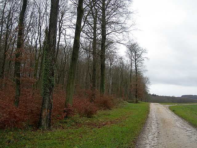 Le  Galerine  di  Leymen (Fra)